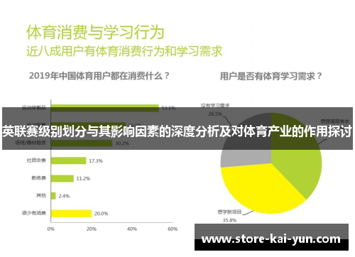 英联赛级别划分与其影响因素的深度分析及对体育产业的作用探讨