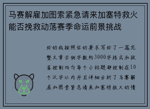 马赛解雇加图索紧急请来加塞特救火能否挽救动荡赛季命运前景挑战